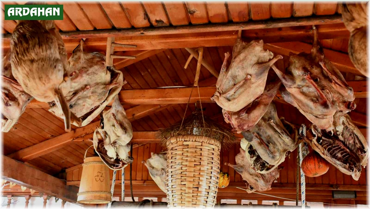 Kaz yumurtası ile kaz yağı tam bir şifa kaynağı