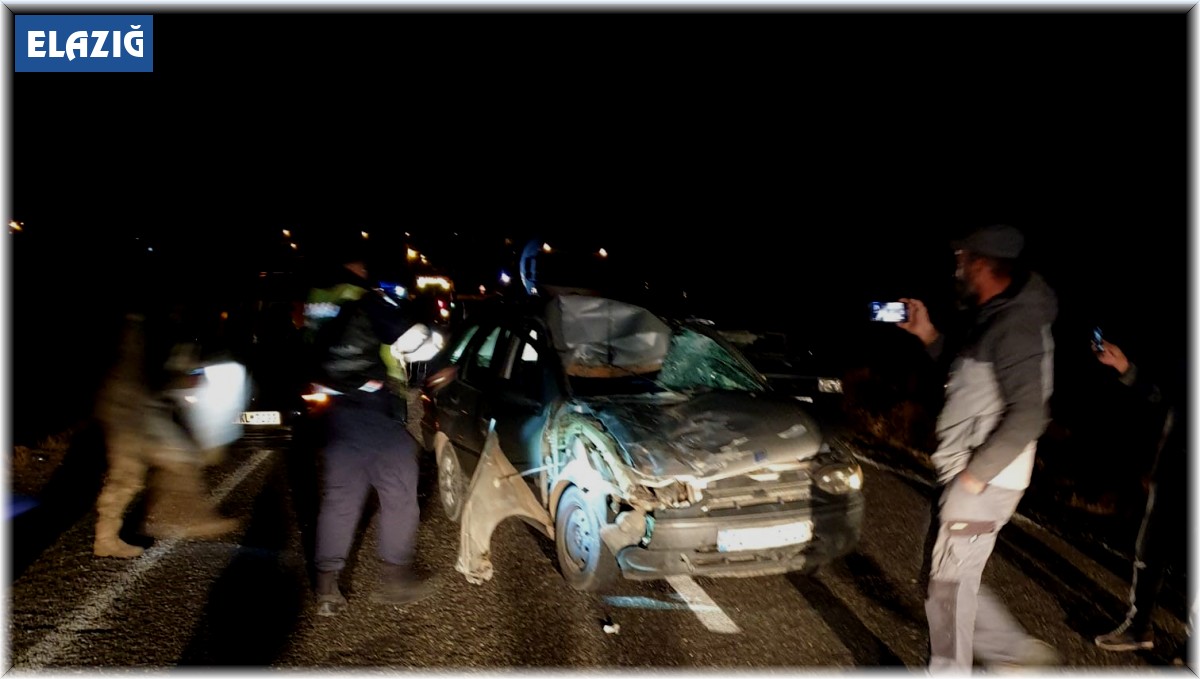 Kazada ağır yaralanan 4 çocuk annesi, yaşam mücadelesini kaybetti