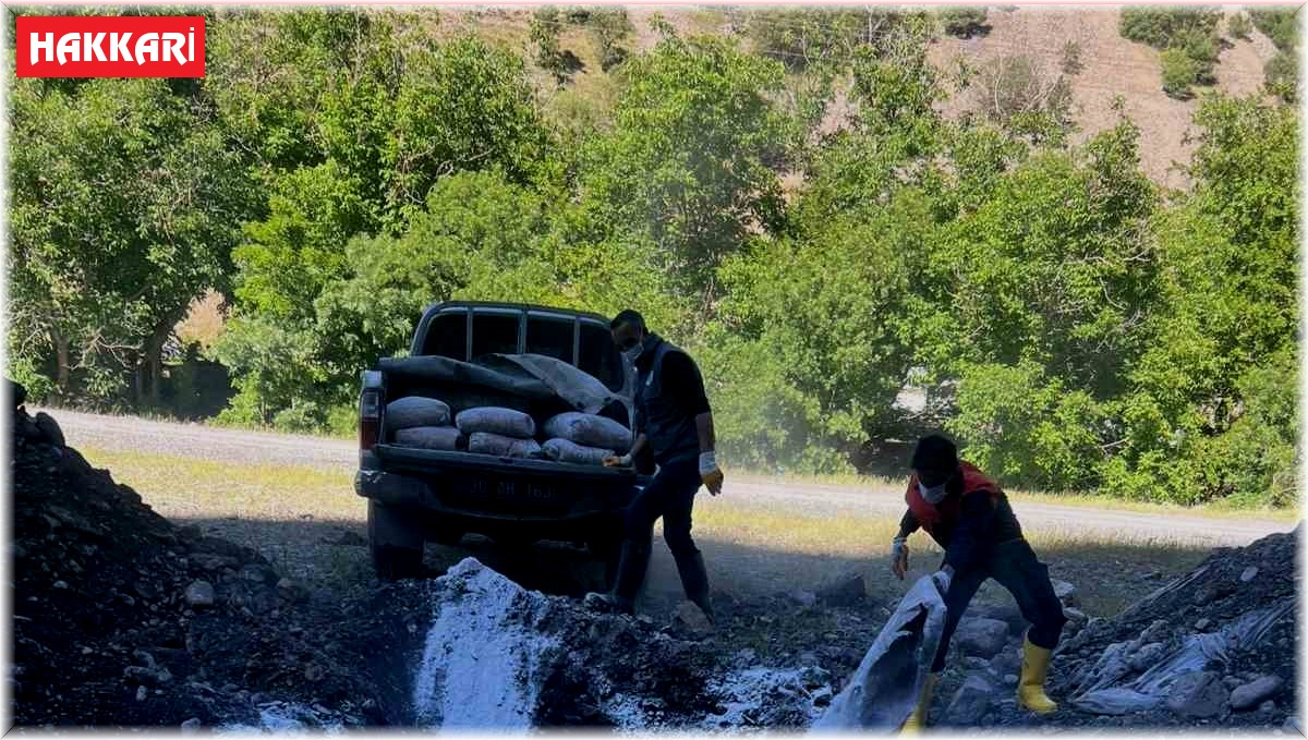 Kazada telef olan hayvanlar gömüldü