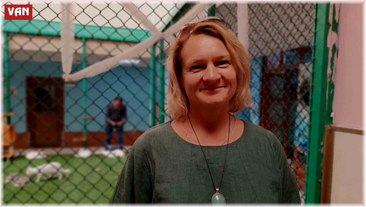 Kazakistanlı psikolog Van kedilerini gözlemledi