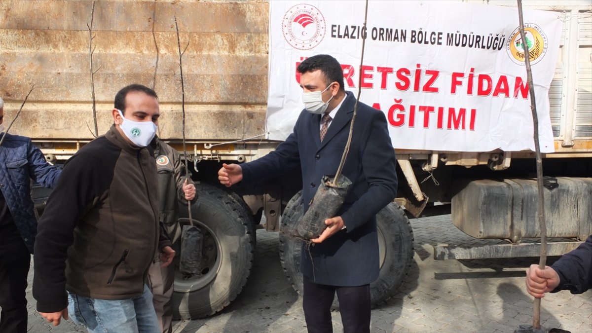 Keban'da çiftçiye 2 bin ceviz fidanı dağıtıldı