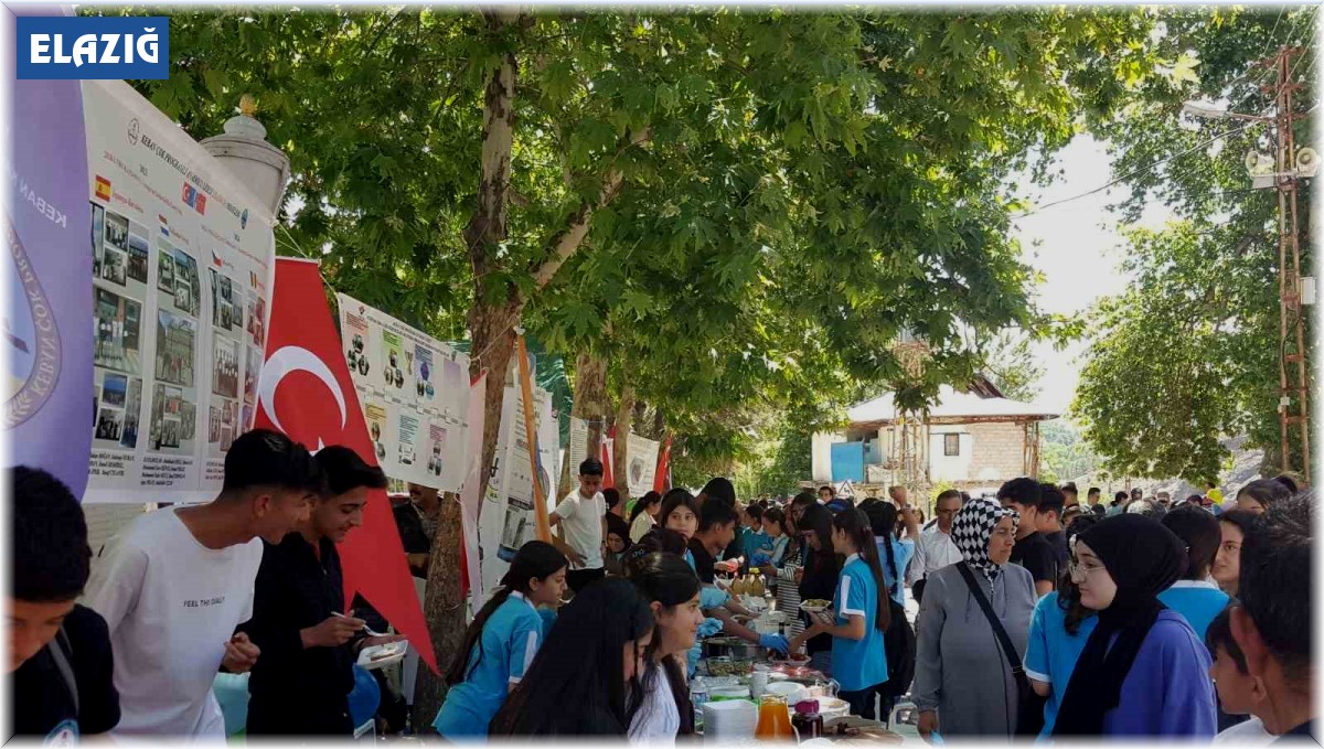 Keban'da eğitim şenliği