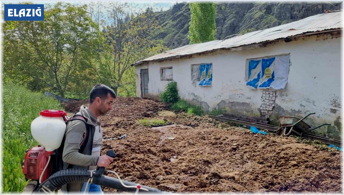 Keban'da haşere ile mücadele çalışması başladı