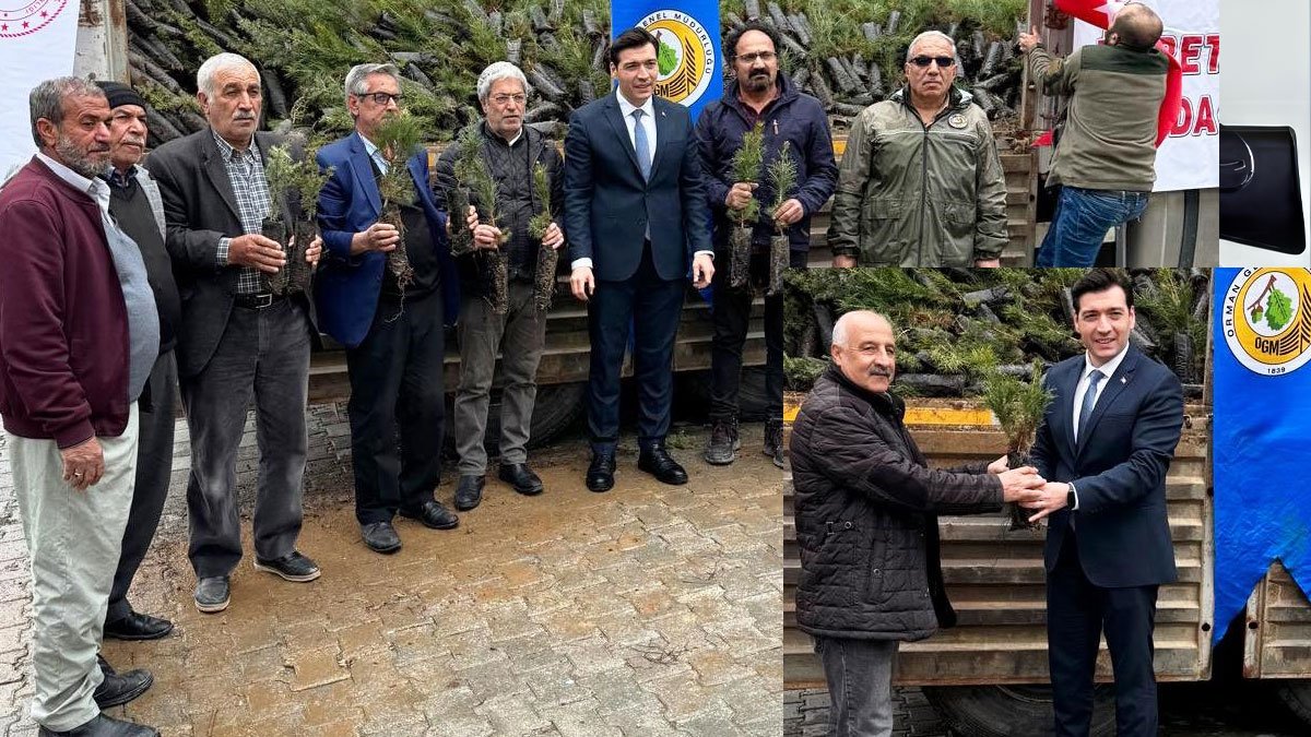 Keban’da vatandaşlara Dünya Ormancılık Haftası’nda 20 bin fidan ücretsiz dağıtıldı