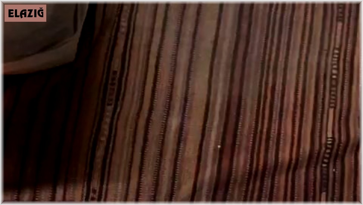 Kedi ile köpeğin şaşırtan dostluğu