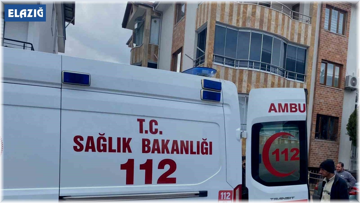 Kediye çarpmamak için kaza yaptı: 1 yaralı