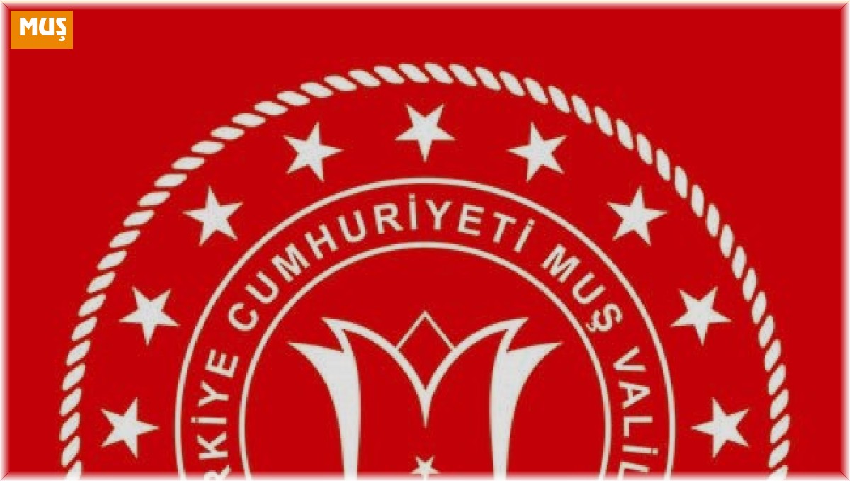 Kediye işkence edilen görüntülerin Muş'ta kayıt altına alınmadığı tespit edildi