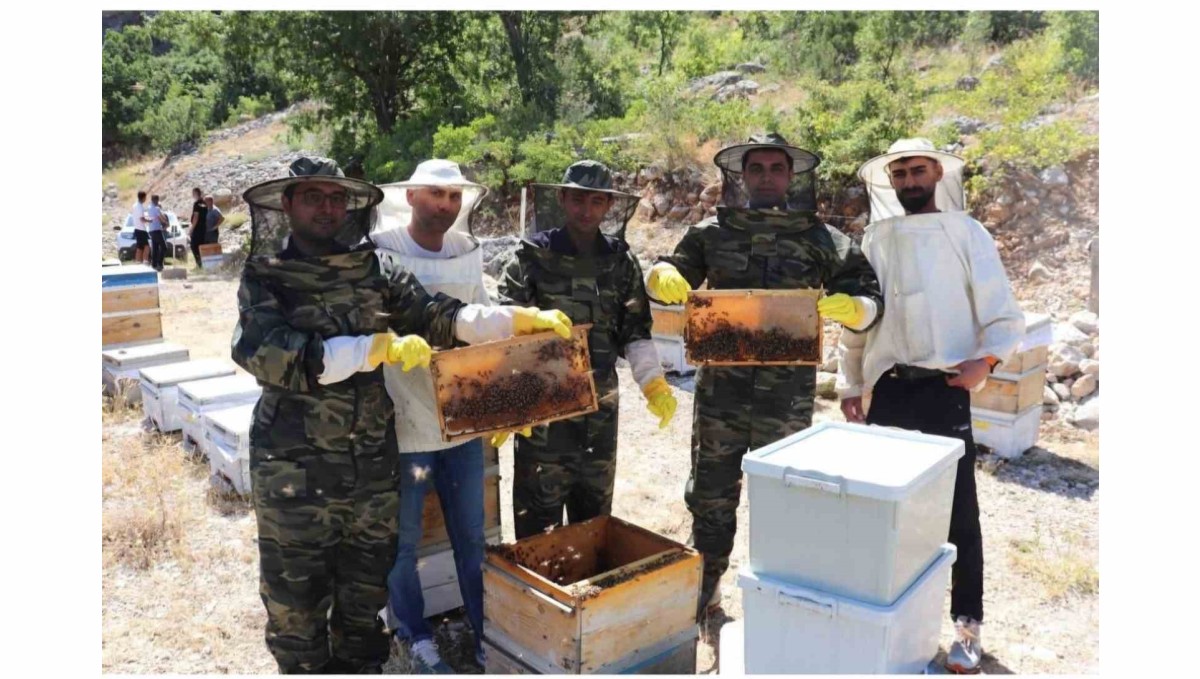 Kemah'ta arıcıların bal hasadı