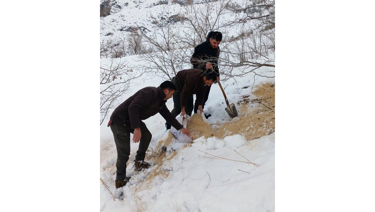 Kemah'ta yaban hayatı unutulmadı