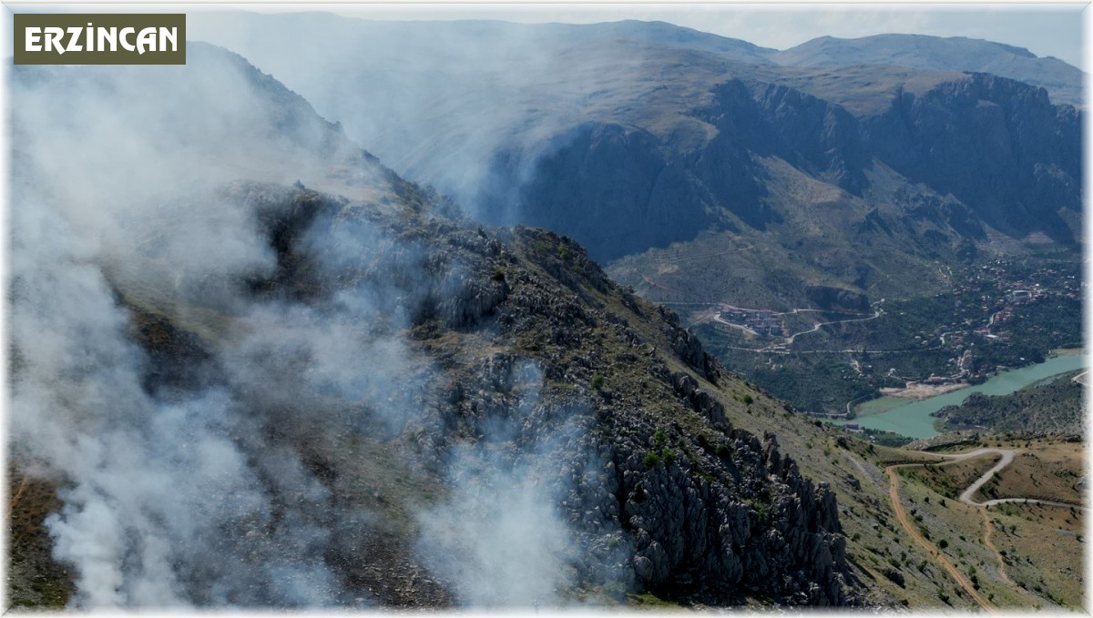 Kemaliye'de örtü yangını