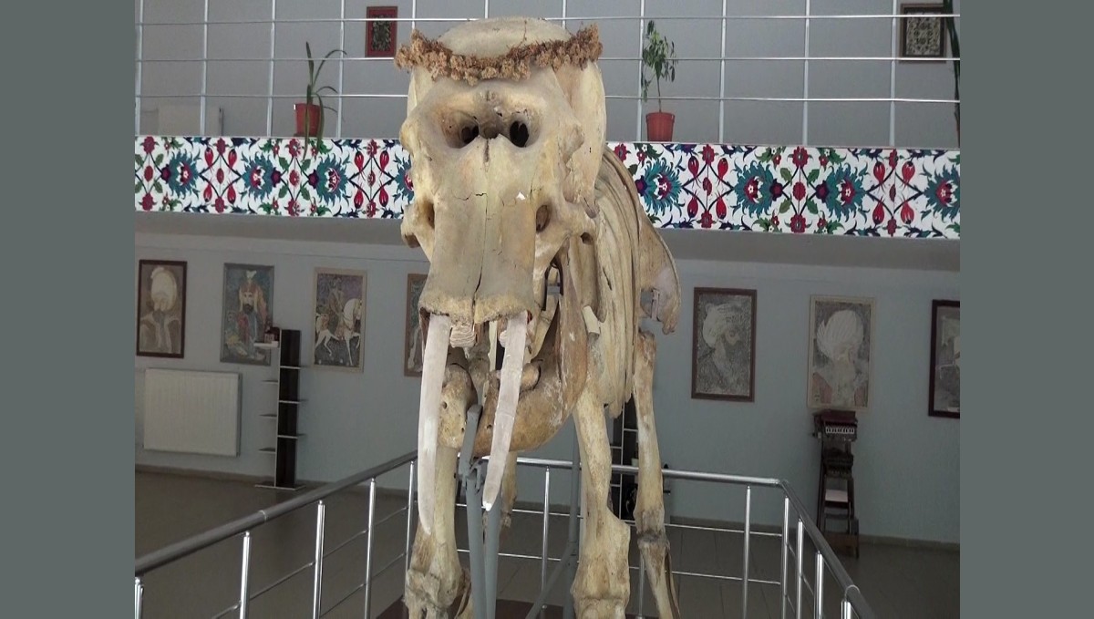 Kemaliye'deki müzede bulunan objeler arşivlendi