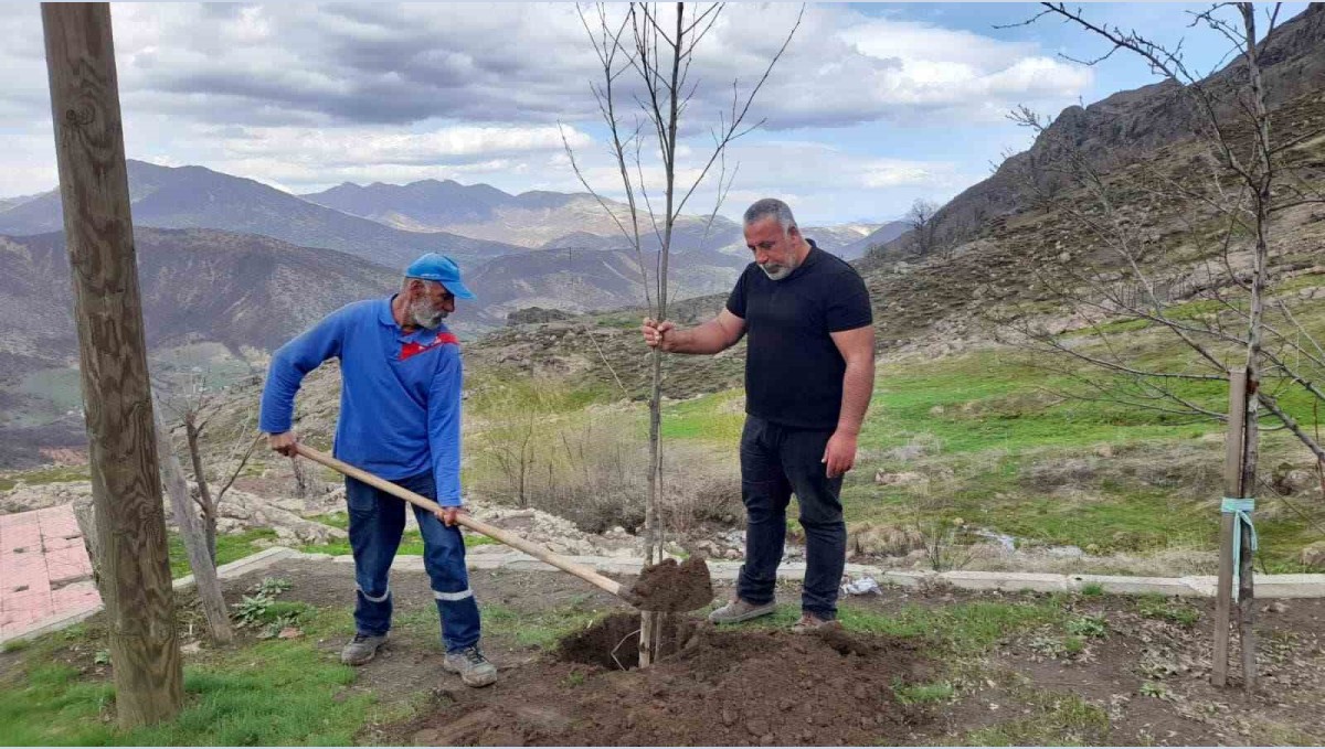 Kendisi yurt dışında ancak her yıl memleketine ağaç diktiriyor