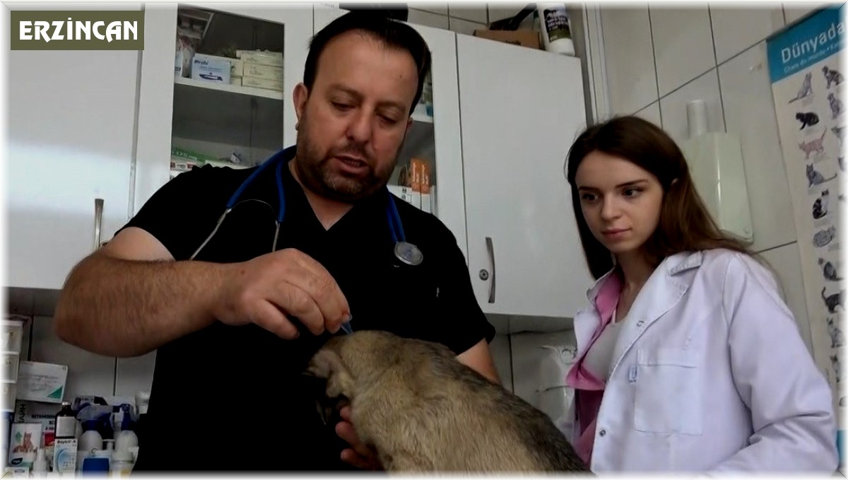 Kenelerin evcil hayvanlarla yayılmasına karşı uyarı