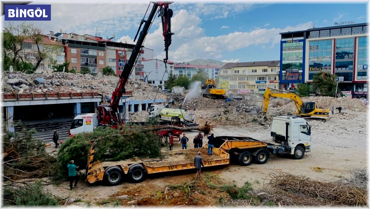 Kent Meydanının yapılacağı alandaki ağaçlar naklediliyor