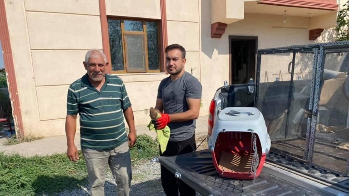 Kerkenez kuşu tedavi altına alındı