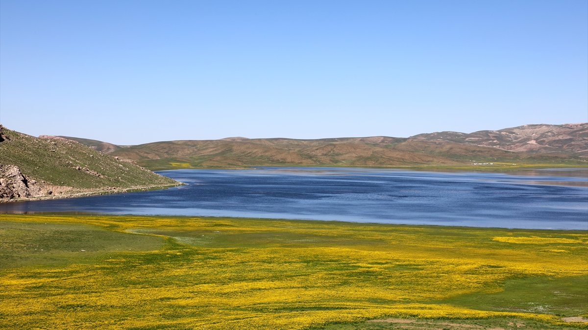 Keşiş Gölü çevresinde açan rengarenk çiçeklerle ziyaretçilerini karşılıyor