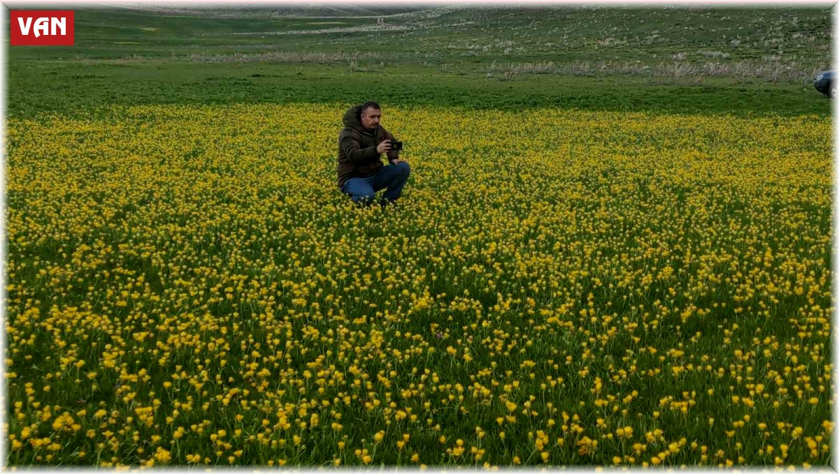 Keşiş Gölü doğanın bin bir rengiyle hayran bırakıyor