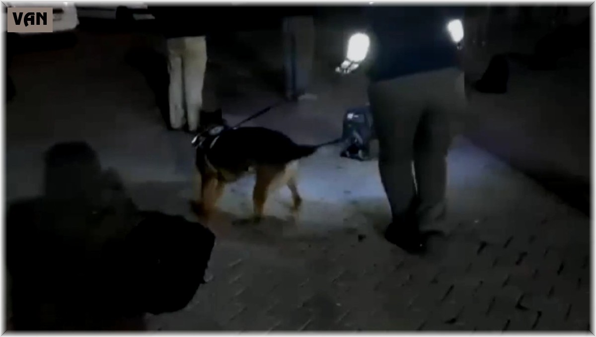 Kimyasal madde taşımak için imal edilen tankerde 51 düzensiz göçmen yakalandı