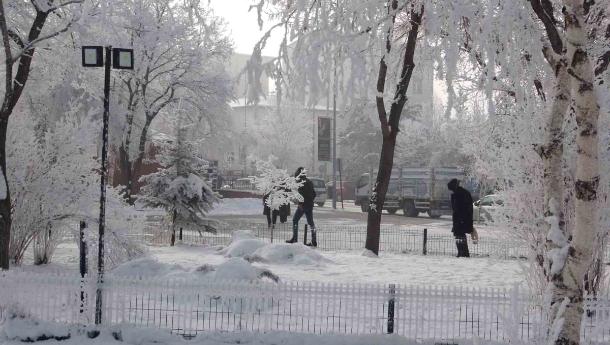 Kırağı sonrası görsel şölen oluştu
