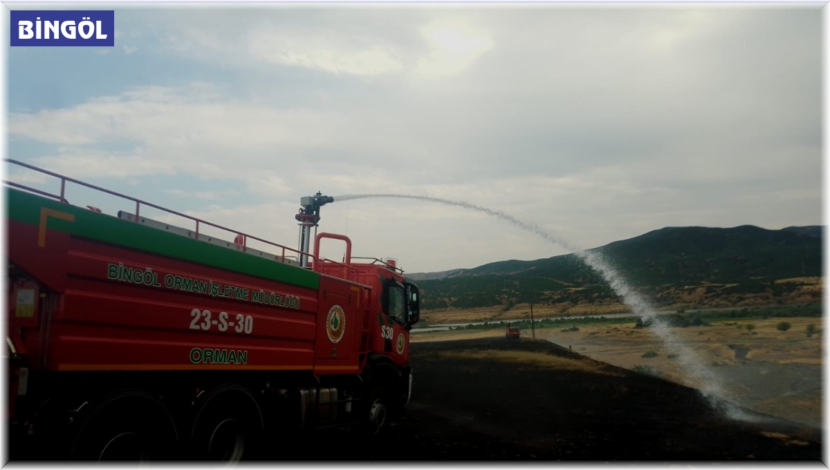 Kırsal alanda çıkan yangınlar ormana sıçramadan söndürüldü