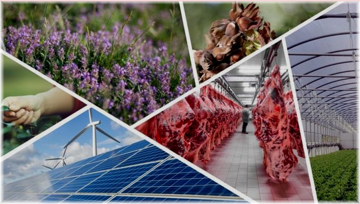 Kırsal kalkınma hibe desteği başvuruları başladı