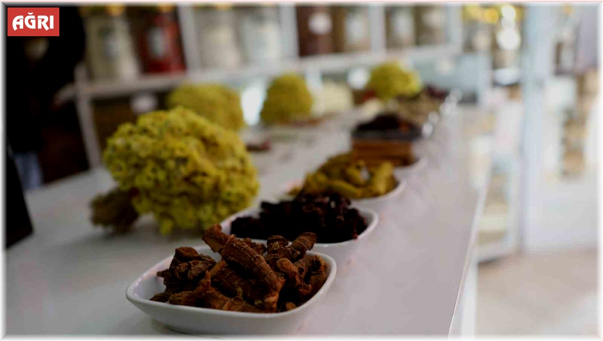 Kış aylarının koruyucu kalkanı "kış çayı" kaynamaya başladı