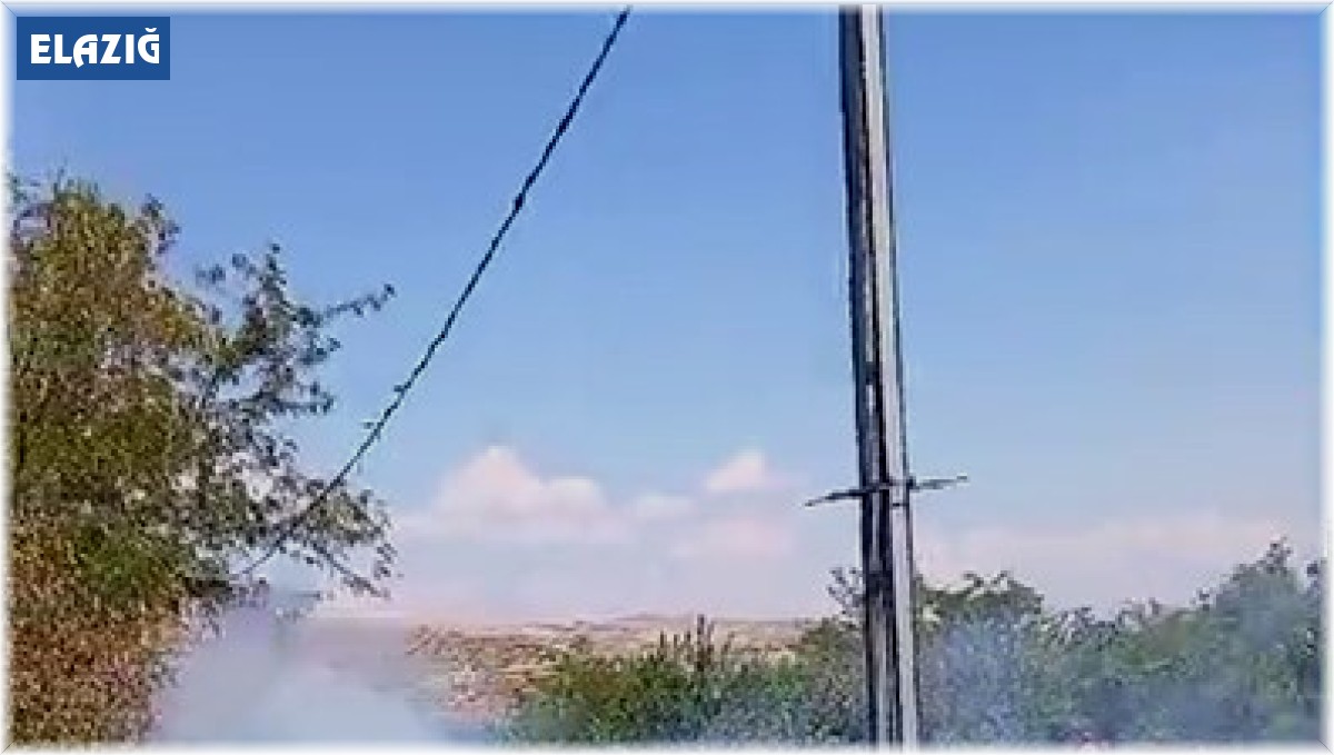 Kış için toplanan odunlar, yangında küle döndü