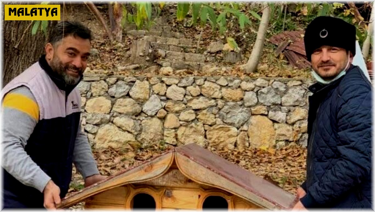 Kış öncesi sokak kedilerine şefkat eli