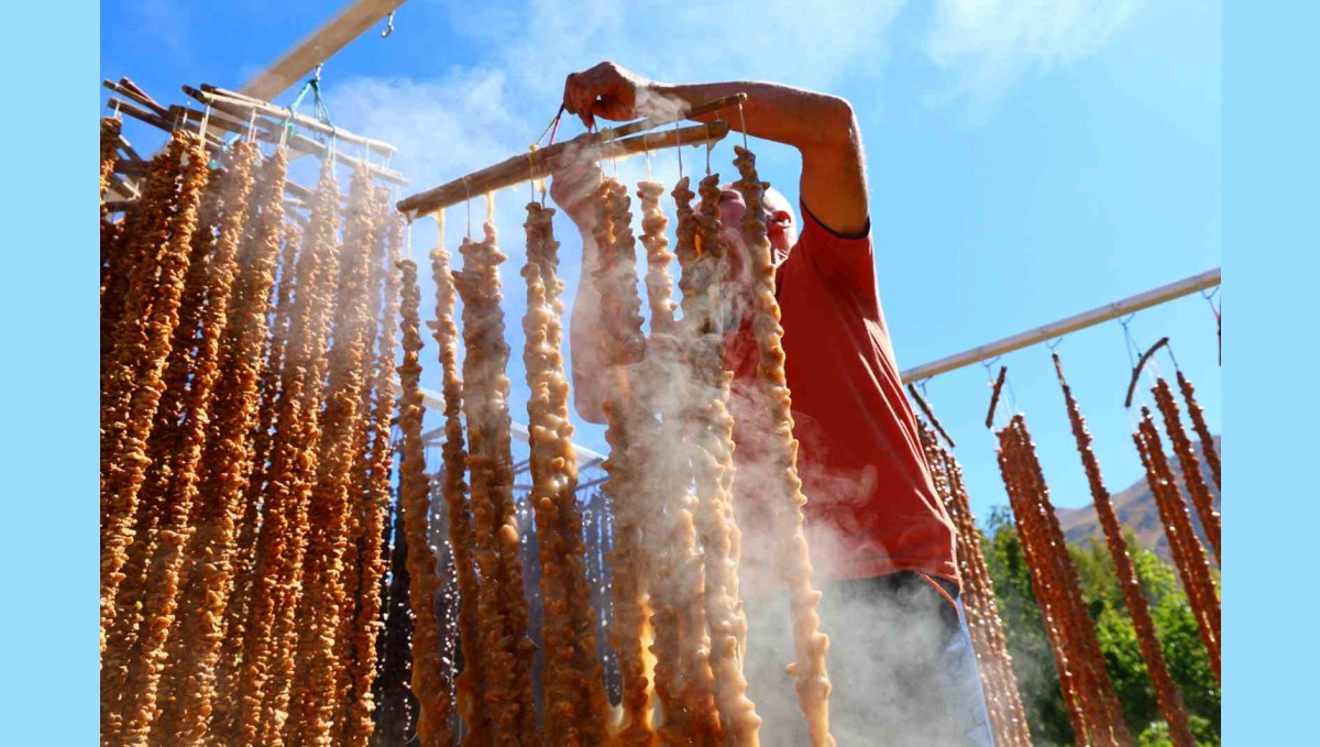 Kış sofralarının vazgeçilmezi: Orcik mesaisi başladı