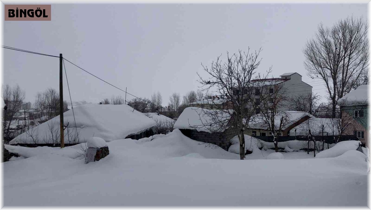Kışın çetin geçtiği o ilçede tek katlı evler kara gömüldü