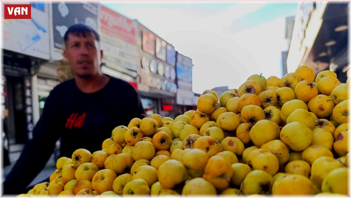 Kışın habercisi alıç, tezgahtaki yerini aldı
