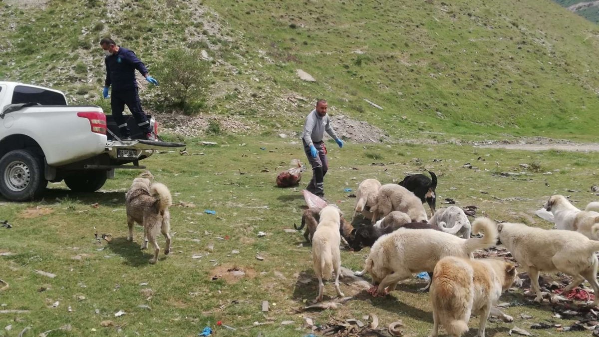 Kısıtlamada can dostlar unutulmadı