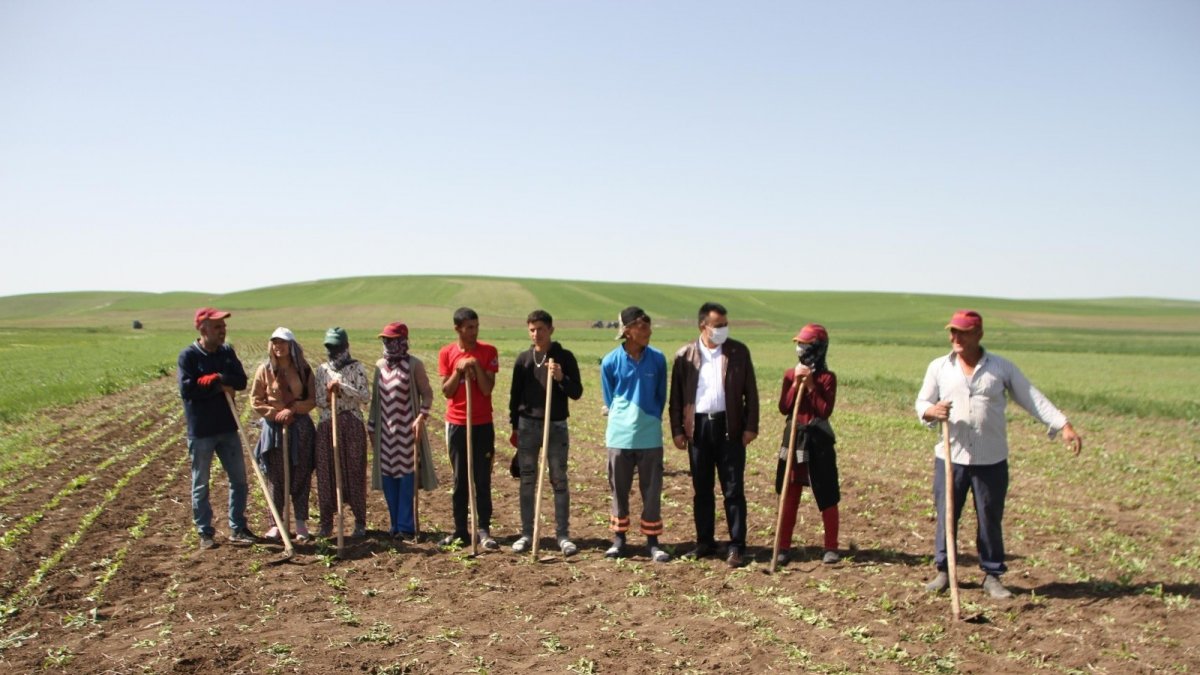 Kısıtlamadan muaf olan çiftçiler bayramı tarlada geçirdi