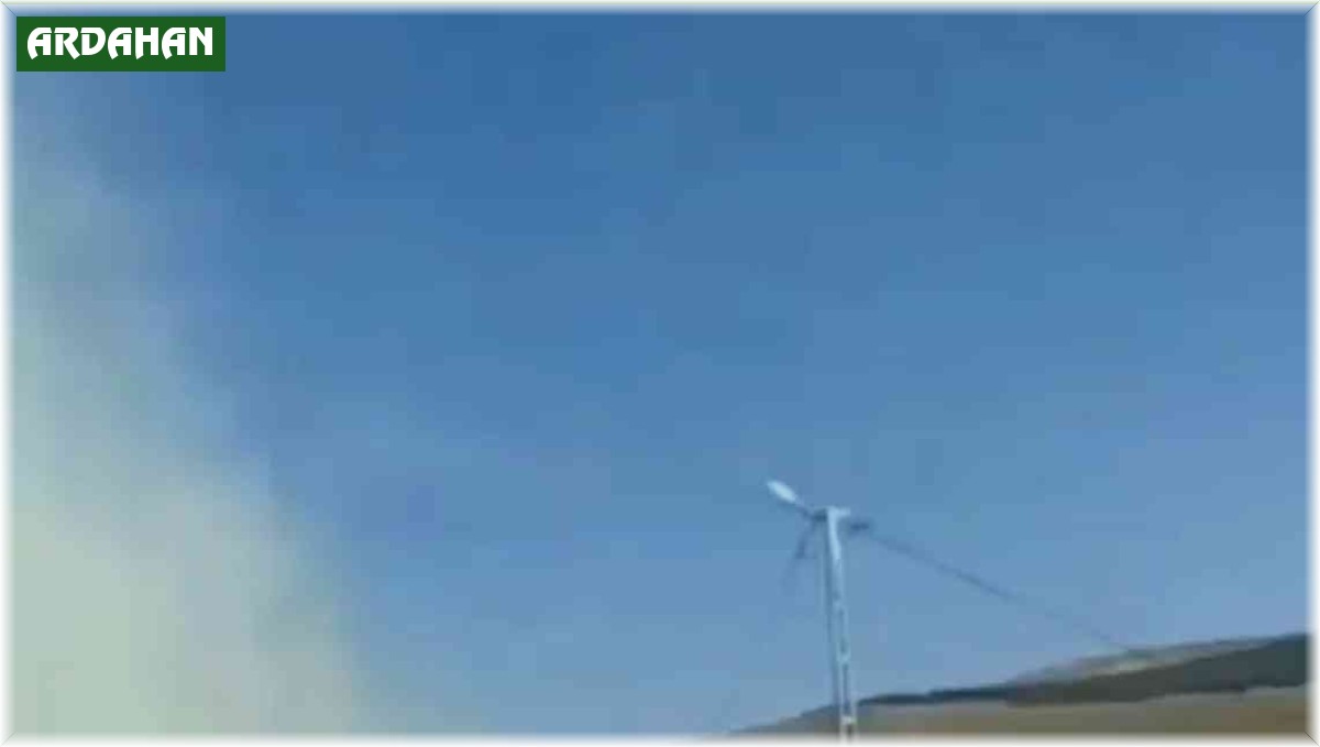 Kışlık yakacak tezek ile 250 balya ot kül oldu