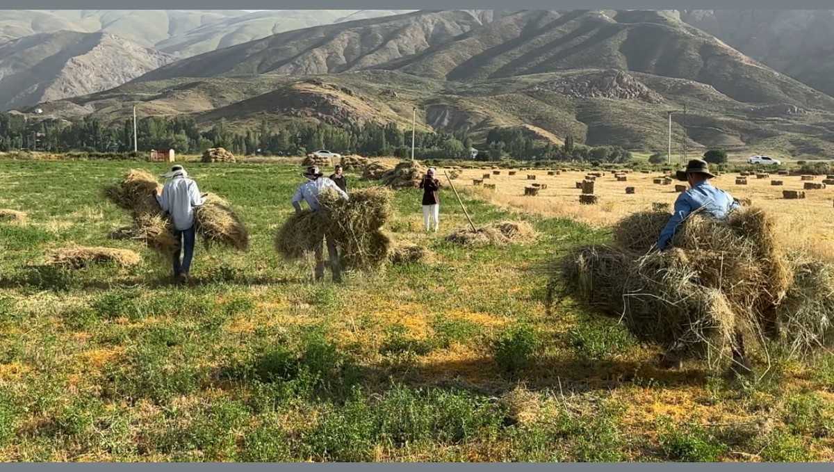 Kızgın güneş altında ekmek mücadelesi