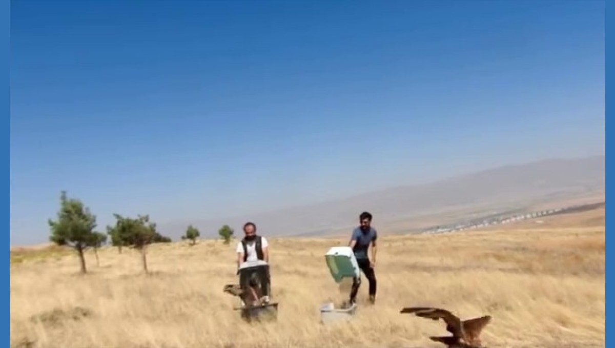 Kızıl Şahinler özgürlüğe uçtu