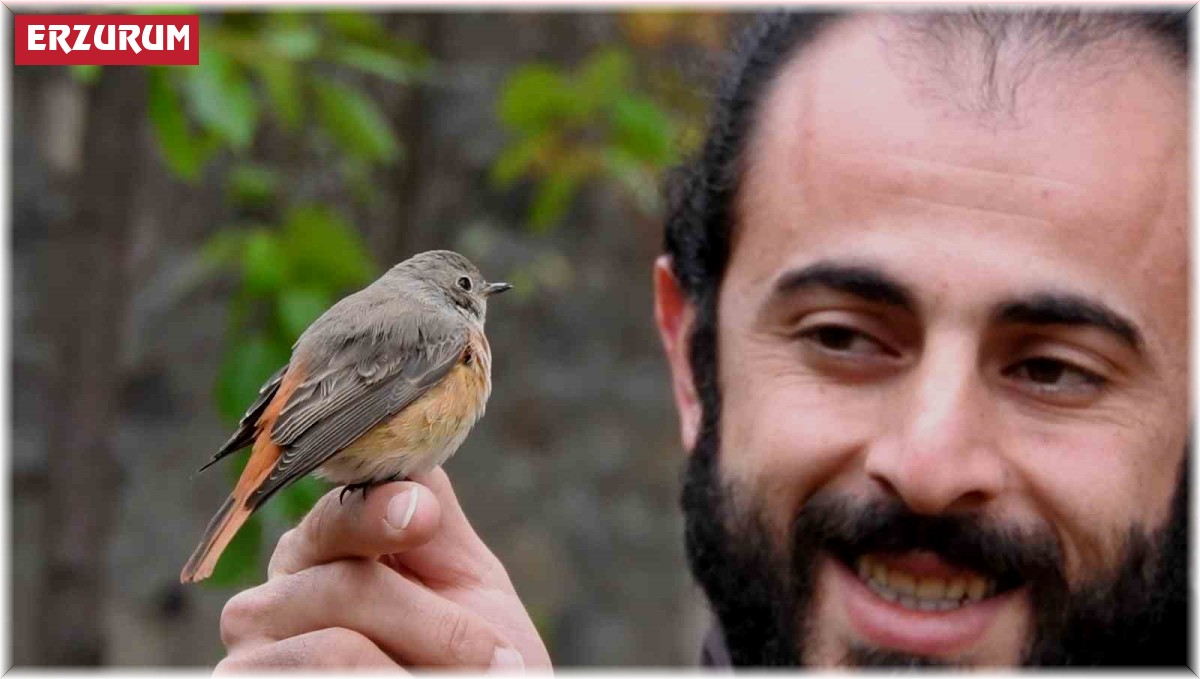 Kızılkuyruk ve çulluk doğaya salındı