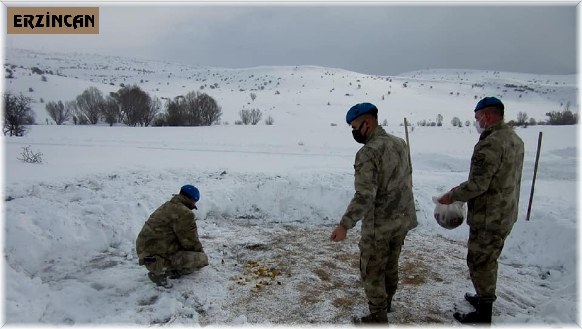 Komandolar, yaban hayvanları için doğaya yem bıraktı