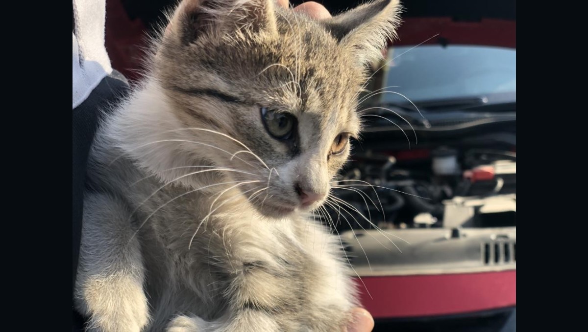 'Kontağı çevirmeden kaputa vurun' uyarısı