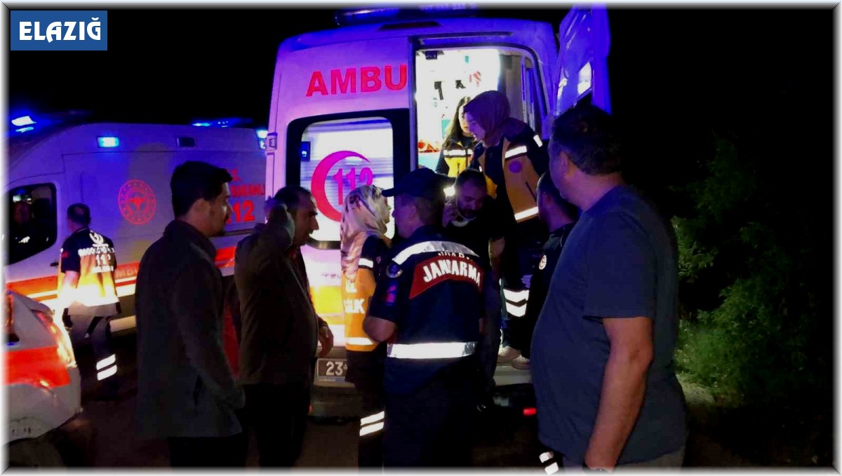 Köpeğe çarpan kamyonet şarampole uçtu: 4 yaralı