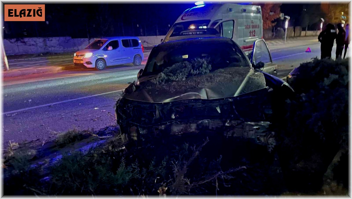 Köpeğe çarpmamak için direksiyonu kırdı, ağaca çarptı: 1 yaralı