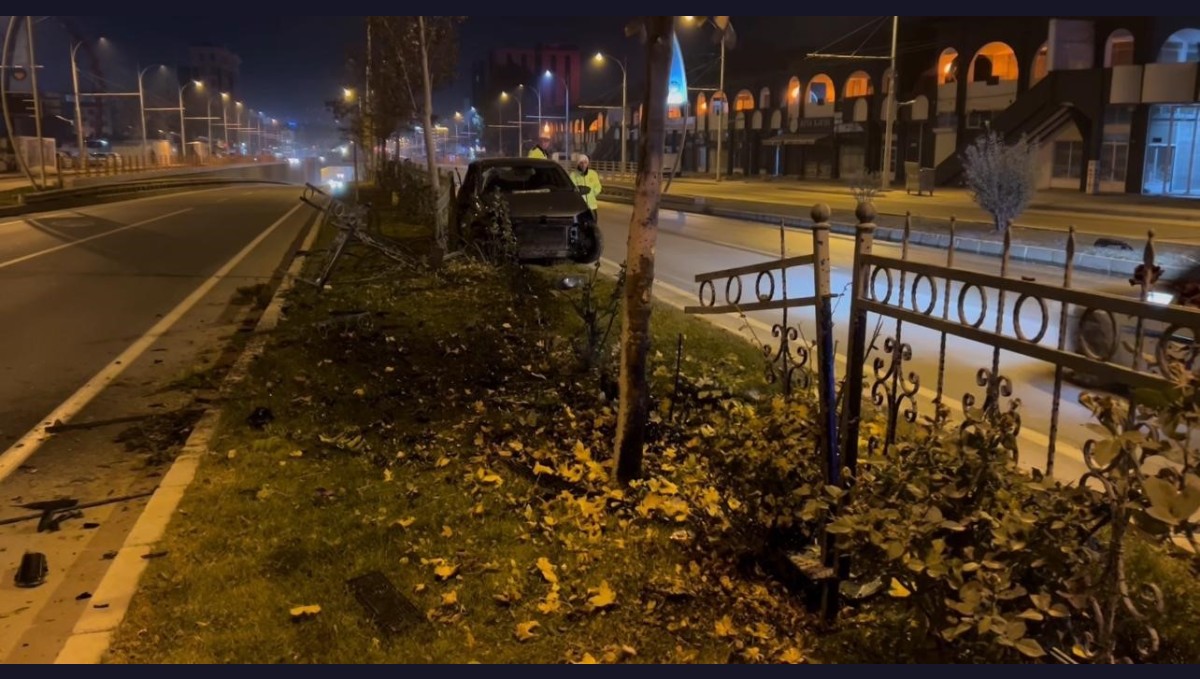 Köpeğe çarpmamak için manevra yapan sürücü refüje çıktı