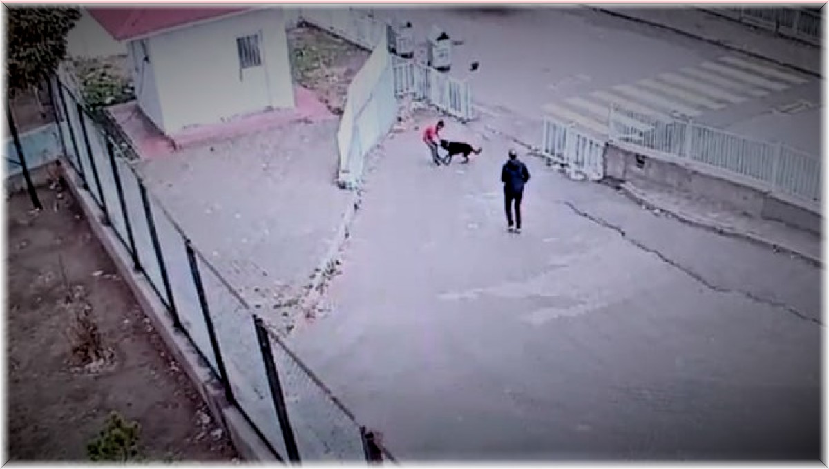 Köpeğin saldırısına uğrayan çocuğu okul güvenliği kurtardı
