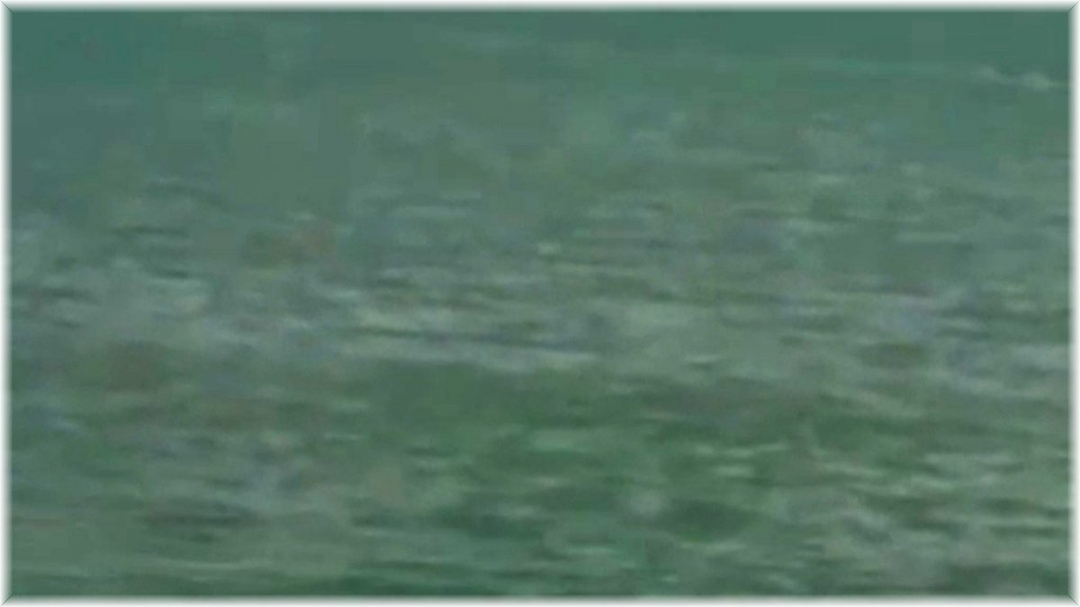 Köpeğini kurtarmak isterken boğulma tehlikesi geçirdi