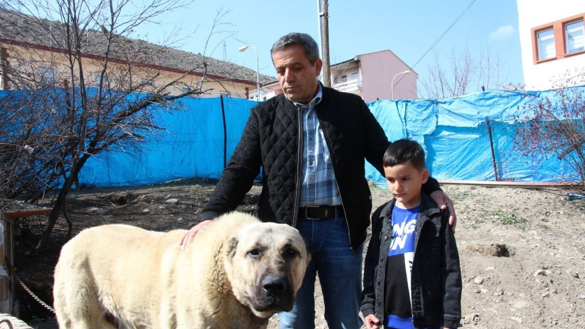 Köpek dile geldi; 'Benim adım Ejder'