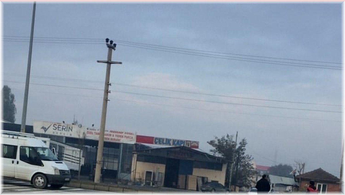 Köpeklerden kaçarken araç çarptı