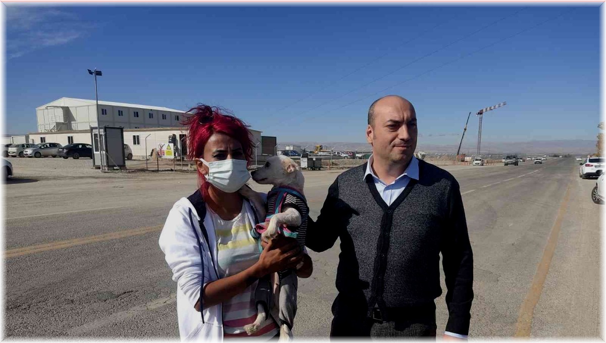 Köpekleri poşetleyip bagaja koyan çalışanın iş akdi fesih edildi