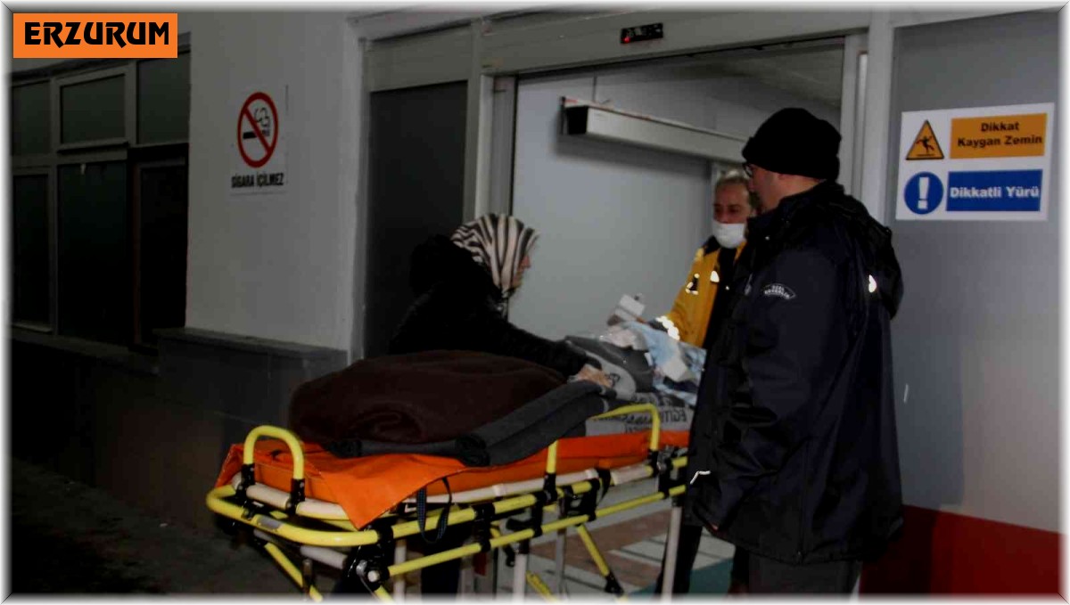 Köpeklerin saldırısına uğrayan küçük çocuk Erzurum'da tedaviye alındı