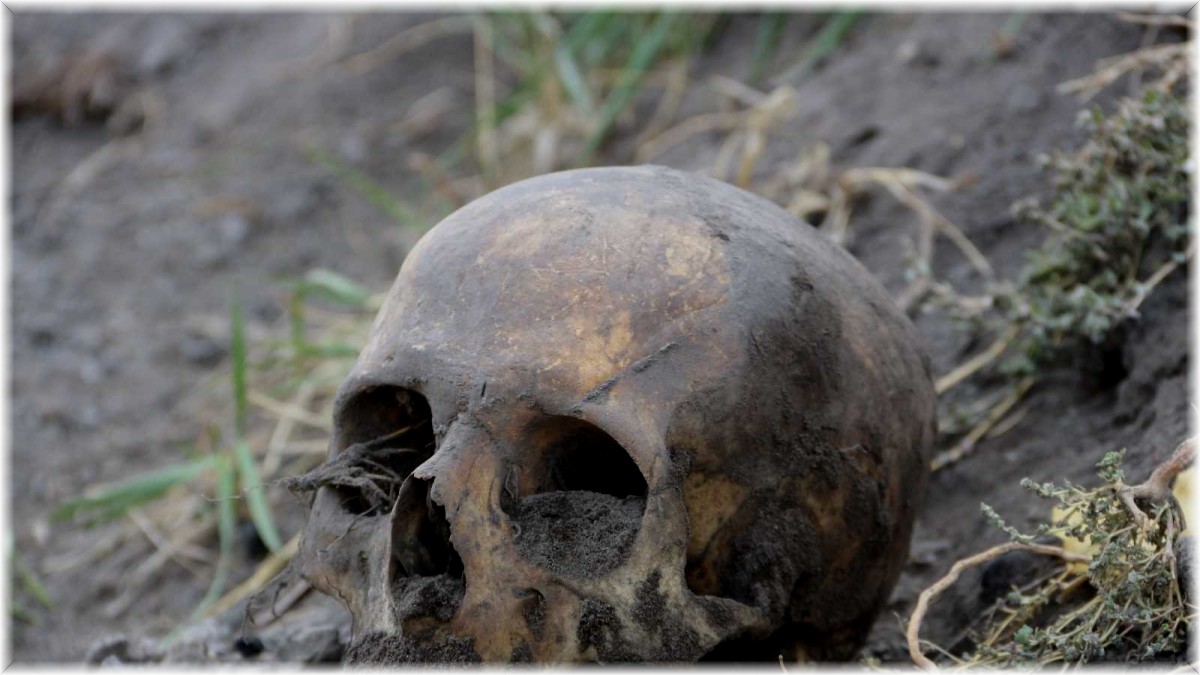 Korkutan görüntü: Her yerden kafatası ve kemikler çıkıyor