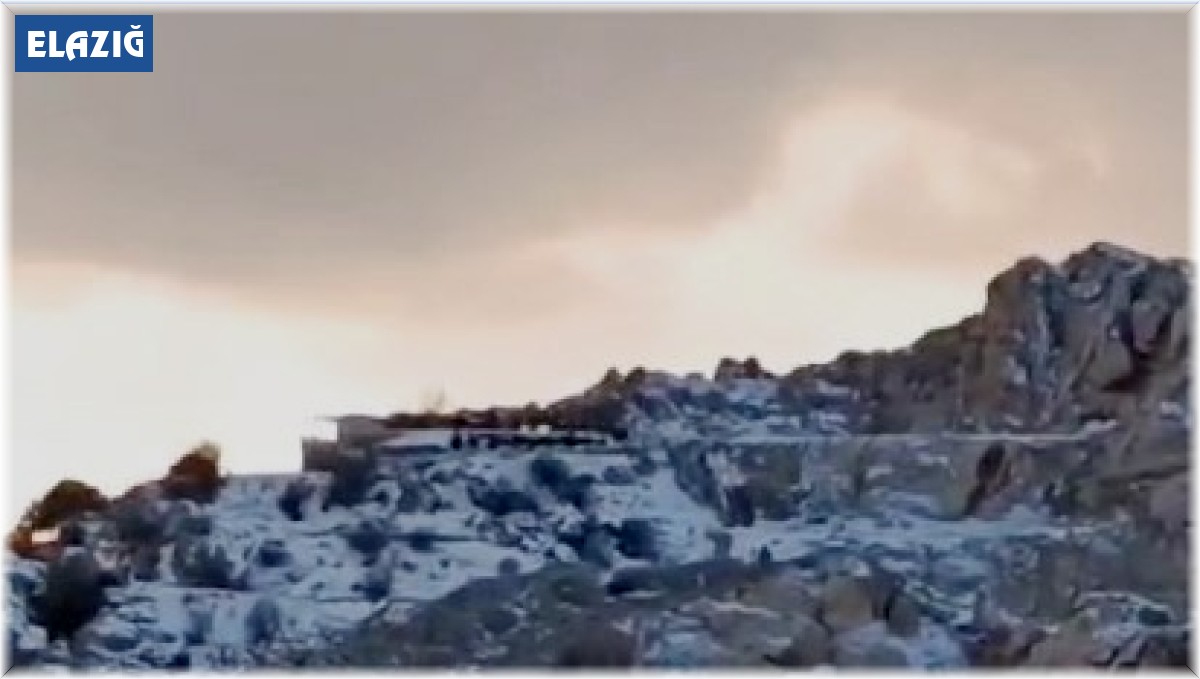 Koruma altındaki dağ keçileri sürü halinde görüntülendi